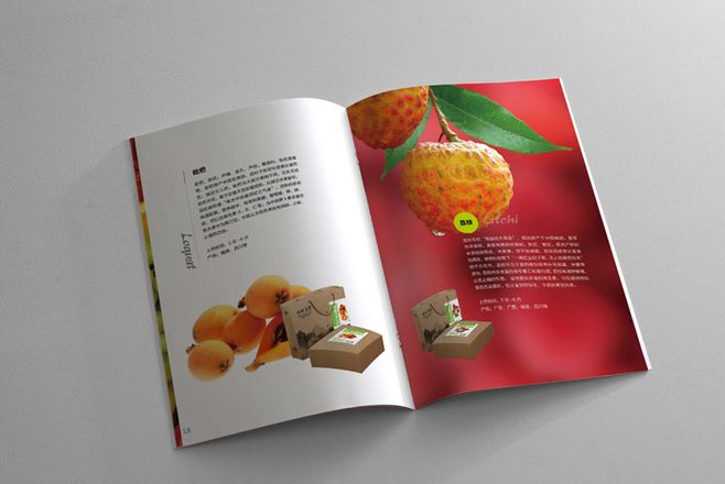 宣傳冊(cè)設(shè)計(jì)一般一頁多少錢？宣傳冊(cè)的特點(diǎn)有哪些？