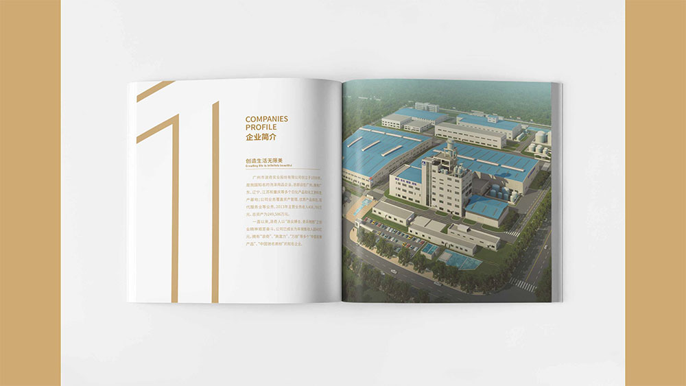 洗滌用品企業(yè)紀(jì)念冊設(shè)計,集團紀(jì)念冊設(shè)計公司