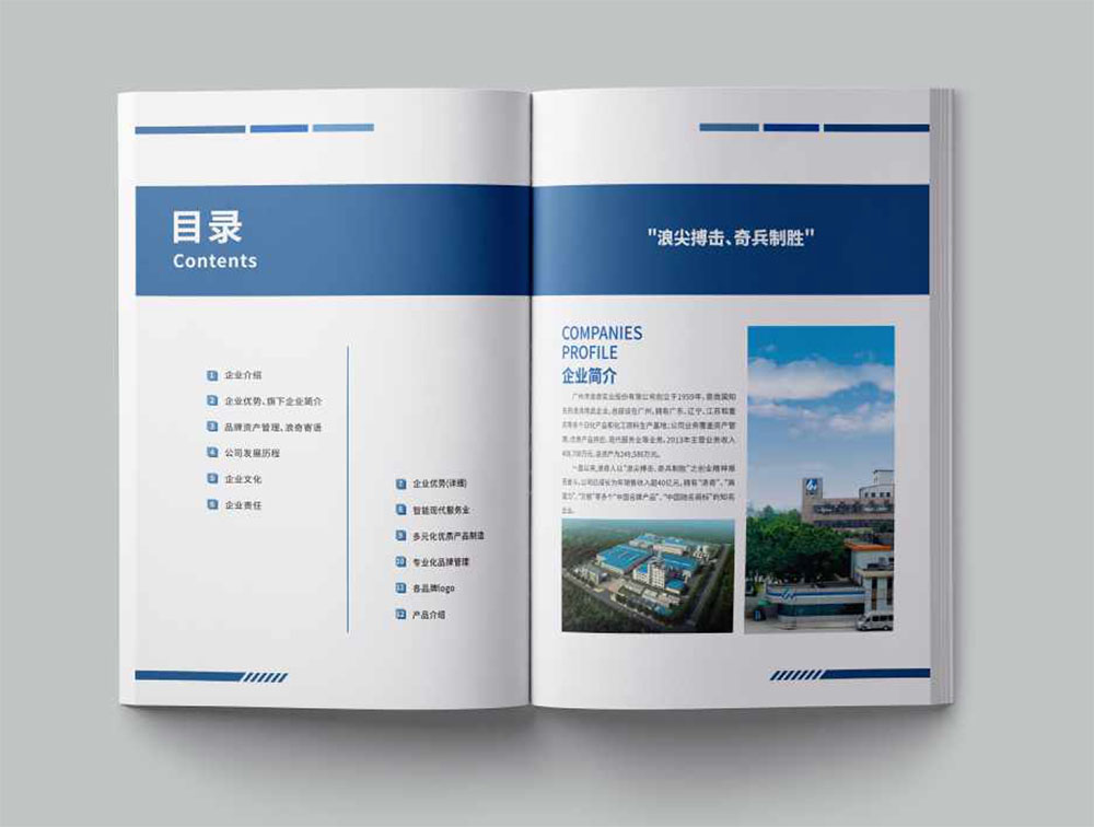 洗滌用品集團冊設(shè)計,集團冊設(shè)計公司