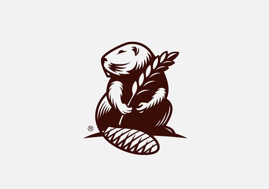 logo商標(biāo)設(shè)計(jì)要求有哪些？條件是什么
