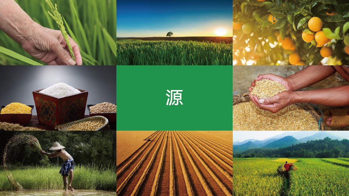 農產品品牌設計技巧有哪些？怎樣塑造品牌形象
