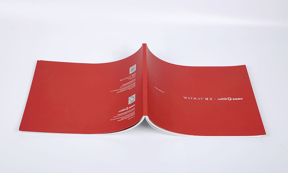 廣州天河產(chǎn)品手冊畫冊印刷設(shè)計(jì),產(chǎn)品手冊設(shè)計(jì)印刷公司