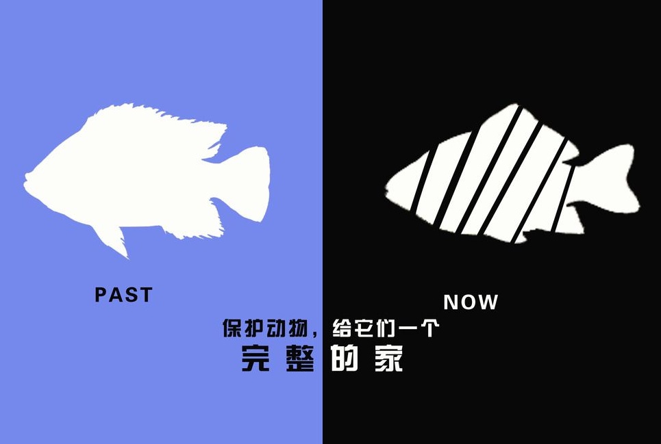 廣告設(shè)計(jì)制作有哪些要求？有哪些注意事項(xiàng)？