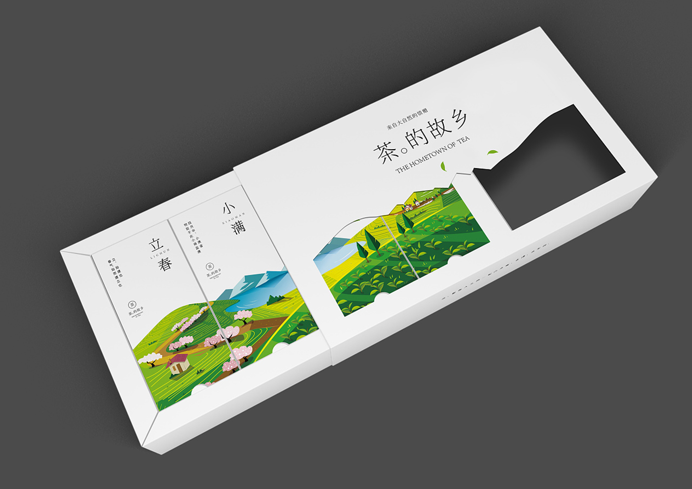 茶的故鄉(xiāng)茶葉包裝設計-綠茶包裝設計