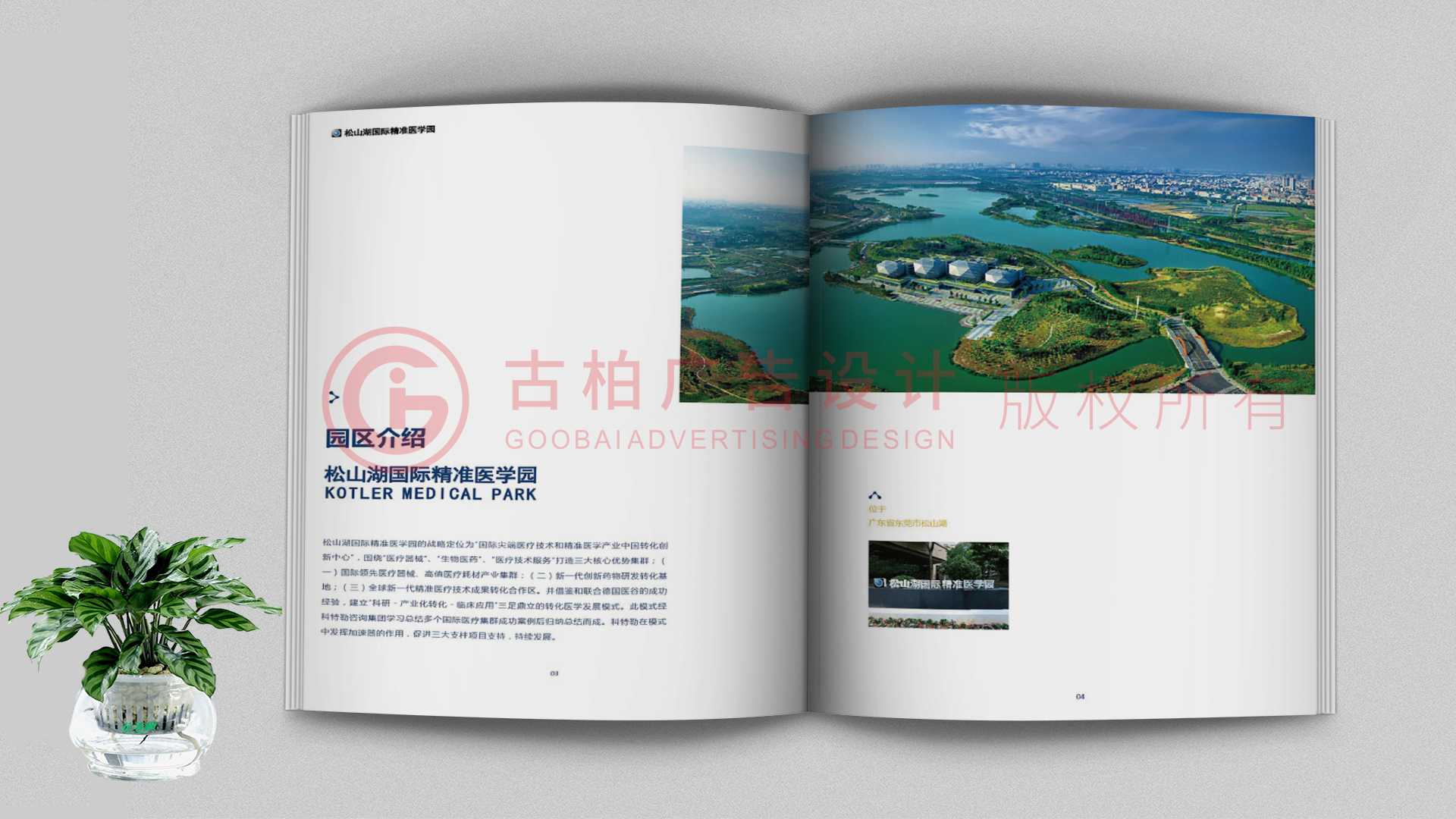 一本聚會(huì)紀(jì)念冊(cè)該如何通過(guò)排版來(lái)提升整體的美觀性？