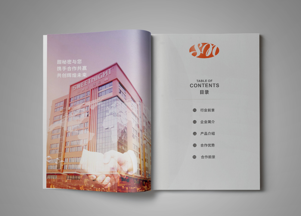 集團(tuán)畫(huà)冊(cè)設(shè)計(jì)的排版樣式有哪些
